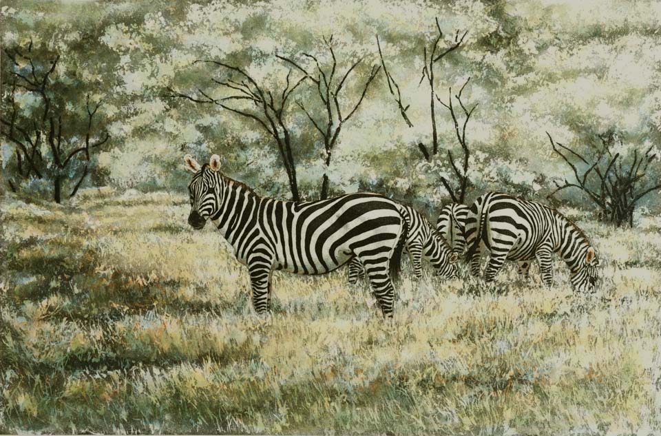 "Sunlit Sagebrush" zebras in sagebrush