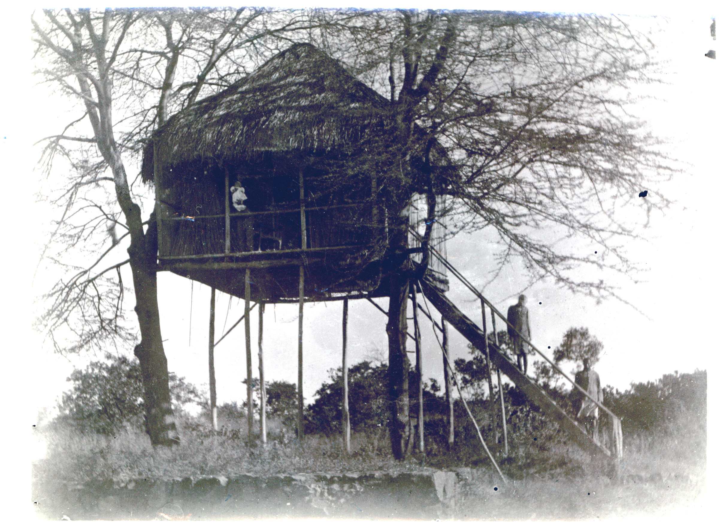 The Treehouse at Rumuruti