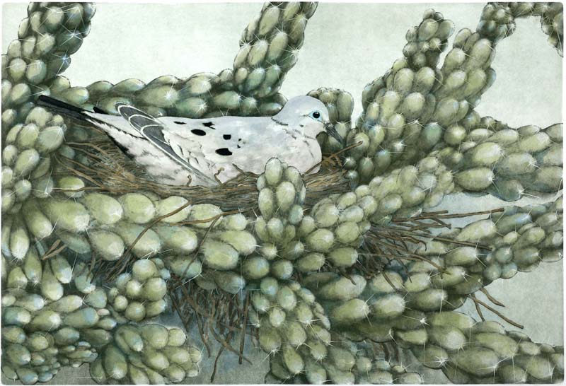 Dove Among Thorns, Giclee