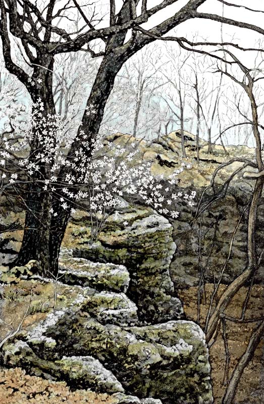 Rocks in Spring, Giclee